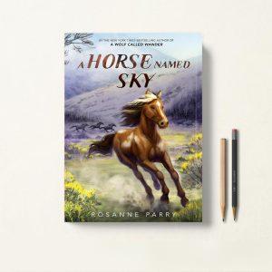 کتاب A Horse Named Sky اثر Rosanne Parry زبان اصلی